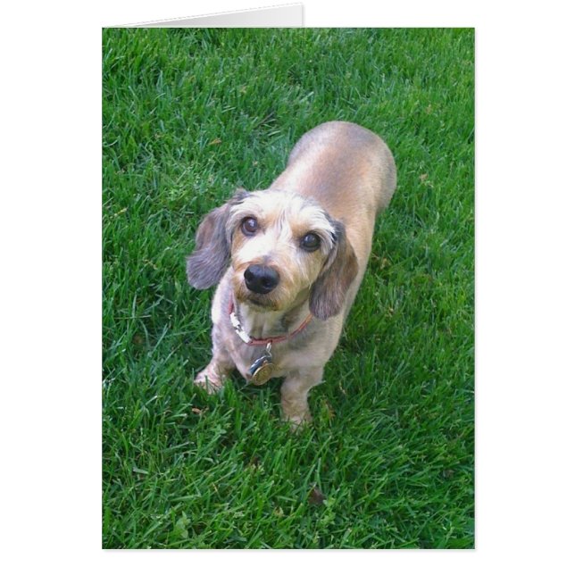 何がありますか。 (正面)