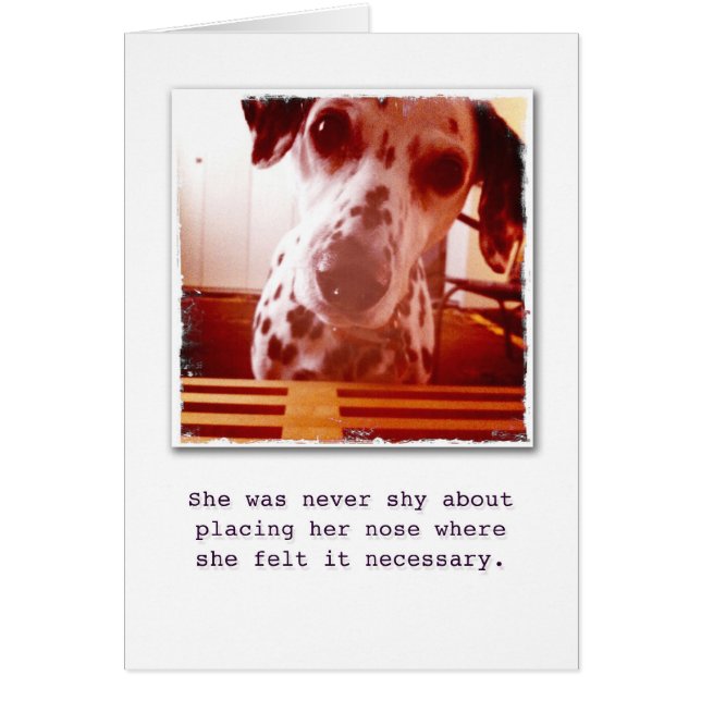 何がありますか。 (正面)