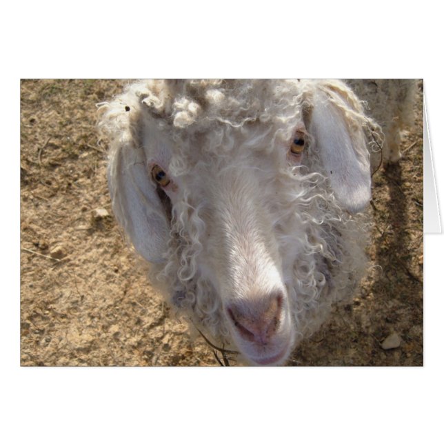 何がありますか。 (正面横)