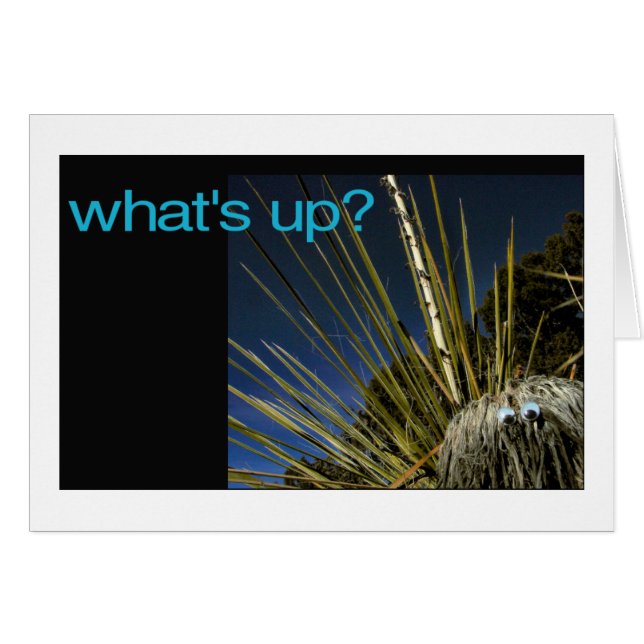 何がありますか。 (正面横)