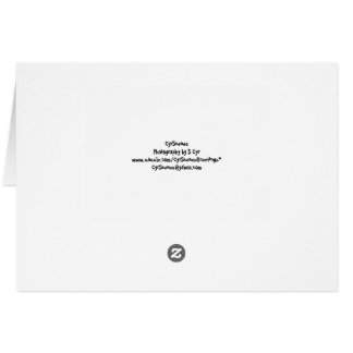 何がありますか。 おもしろカード