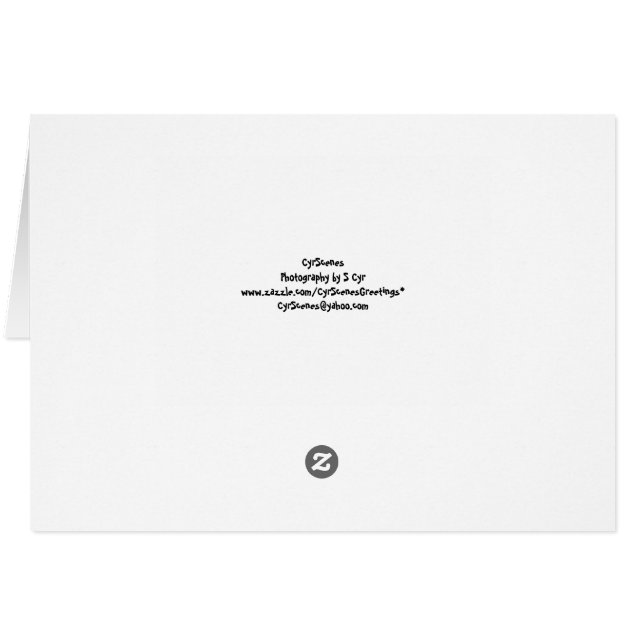 何がありますか。 おもしろカード (裏面横)