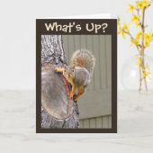 何がありますか。 リスの写真 カード (黄色い花)