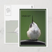 何がありますか。 文字を使って ポストカード (正面/裏面)