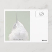 何がありますか。 文字を使って ポストカード (裏面)