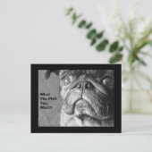 何がパグか ポストカード (スタンド正面)