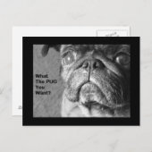 何がパグか ポストカード (正面/裏面)