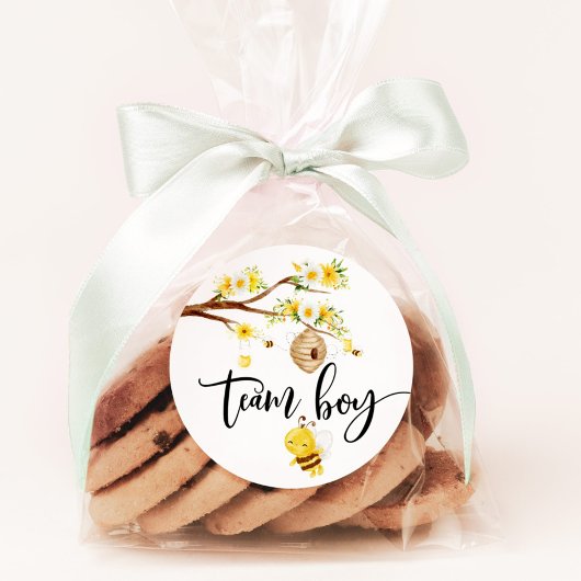 何がベビービーのチームの男の子シール ラウンドシール