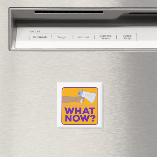 何が今!? マグネット (インサイチュ (食洗機))