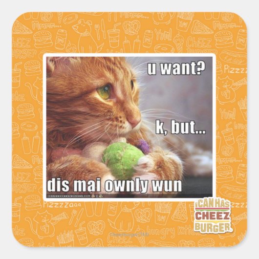 何が欲しい? スクエアシール (正面)