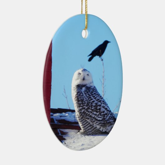 何が見える? セラミックオーナメント (右)