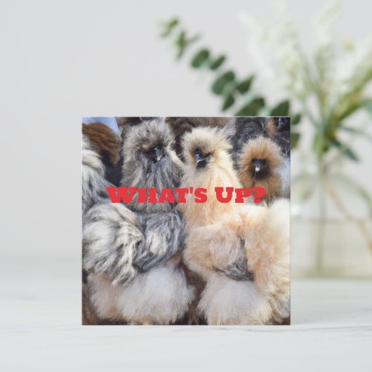 何が起きたか、チキンお尻カード シーズンカード (スタンド正面)