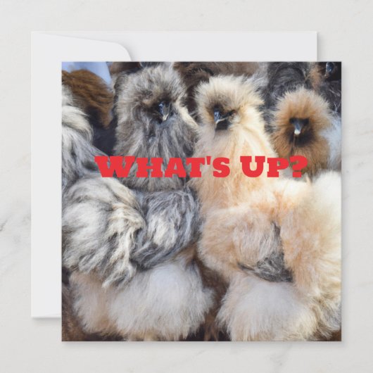 何が起きたか、チキンお尻カード シーズンカード (正面)