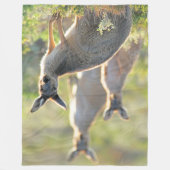 何が起きた！カンガルー フリースブランケット (正面)