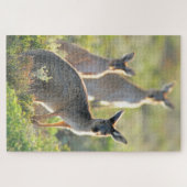 何が起きた！20x30インチ ジグソーパズル (横)