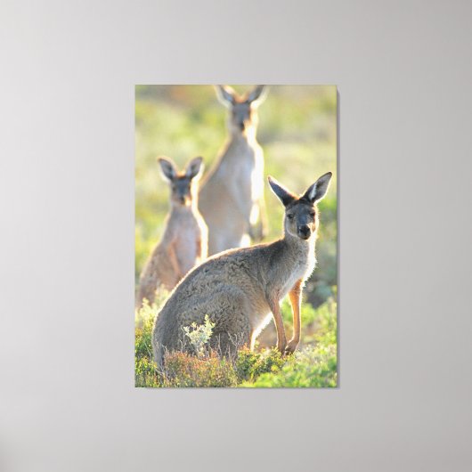 何が起きた！32x48 キャンバスプリント (正面)