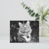 何が起きているか ポストカード (スタンド正面)