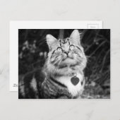 何が起きているか ポストカード (正面/裏面)