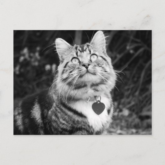 何が起きているか ポストカード (正面)