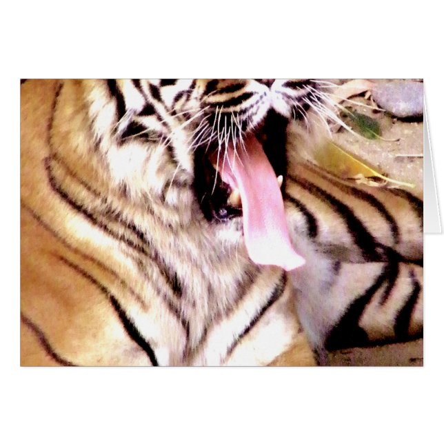 何が起こっているか (正面横)