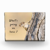 何が起こっているこのリスの写真と文字 フォトブロック (正面)