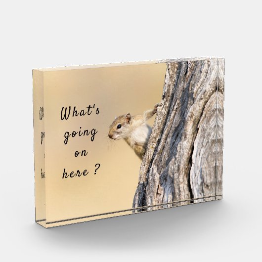 何が起こっているこのリスの写真と文字 フォトブロック (左)