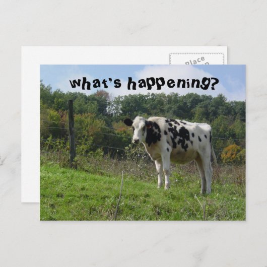 何が起こってるの？ ポストカード (正面/裏面)