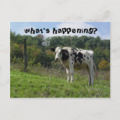 何が起こってるの？ ポストカード (正面)