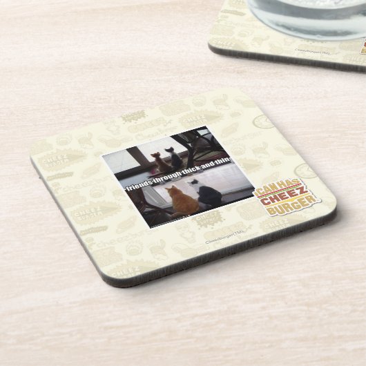 何が起ろうとも コースター (左側)