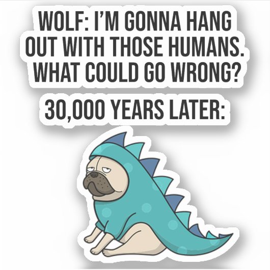 何が間違った狼おもしろいのパグ犬のミーム シール (正面)