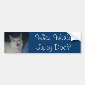 何がJupey Dooか。 #2 バンパーステッカー