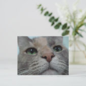 何してる？ ポストカード (スタンド正面)