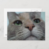 何してる？ ポストカード (正面/裏面)