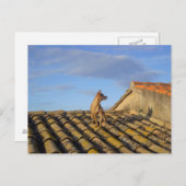 何それ向こうだ。 ポストカード (正面/裏面)