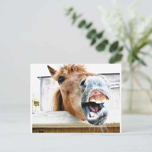 何だおもしろいよ? ポストカード (スタンド正面)