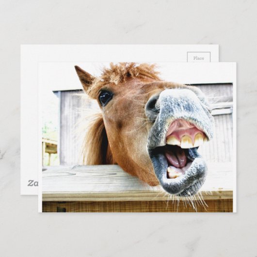 何だおもしろいよ？ ポストカード (正面/裏面)