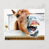 何だおもしろいよ？ ポストカード (正面)