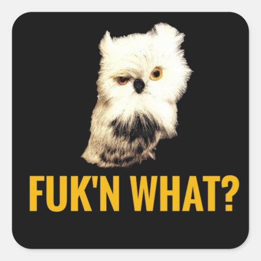 何だって？ スクエアシール (正面)