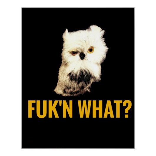 何だって？ ポスター (正面)