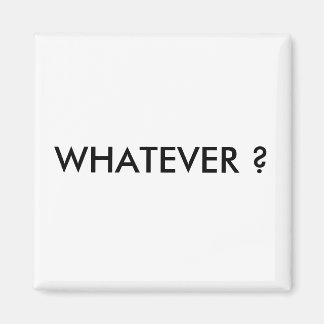 何だって？ マグネット