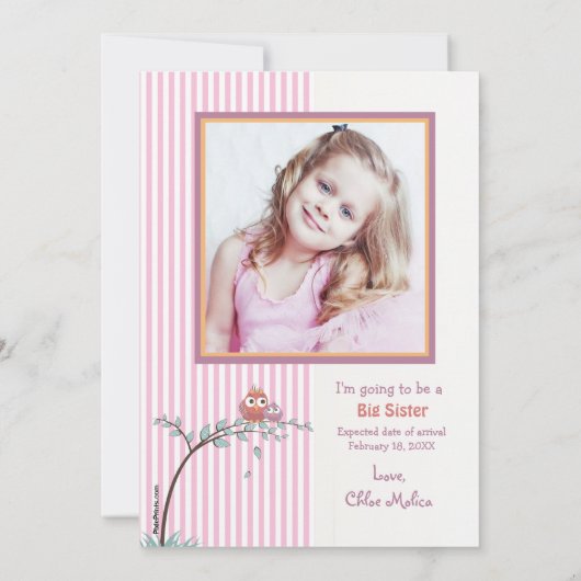 何だと思う?写真妊娠のお知らせ 案内状 (裏面)