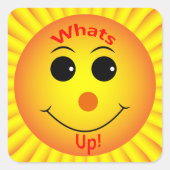 何だ！ スクエアシール (正面)