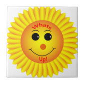 何だ！ タイル (正面)