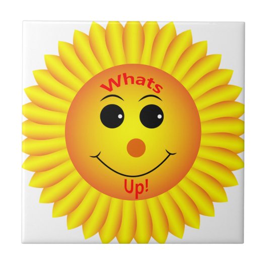 何だ! タイル (正面)