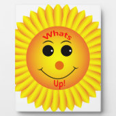 何だ！ フォトプラーク (正面)