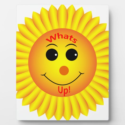 何だ！ フォトプラーク (正面)