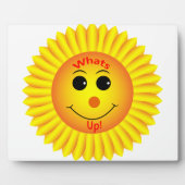 何だ！ フォトプラーク (正面)