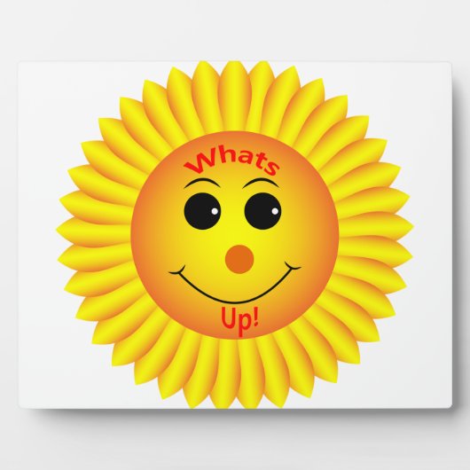 何だ！ フォトプラーク (正面)