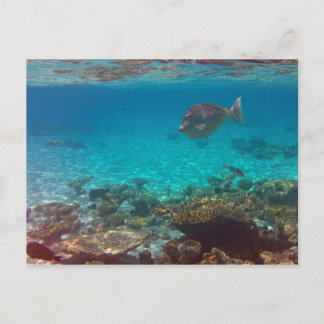 何だ?? ポストカード