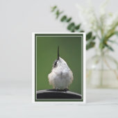 何だ？ ポストカード (スタンド正面)